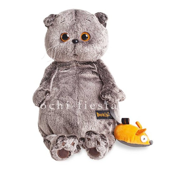 Кот Басик с мышкой в Кургане