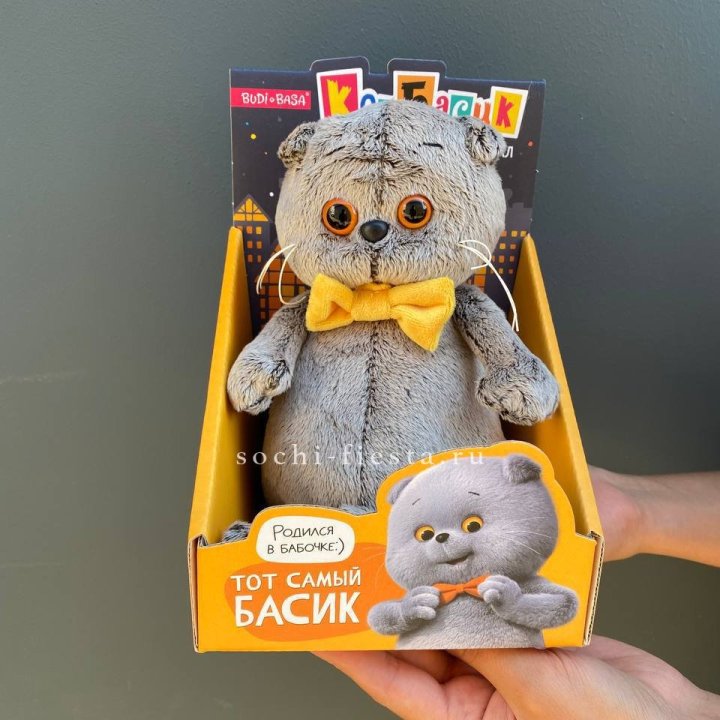 Кот Басик с бабочкой в Кургане