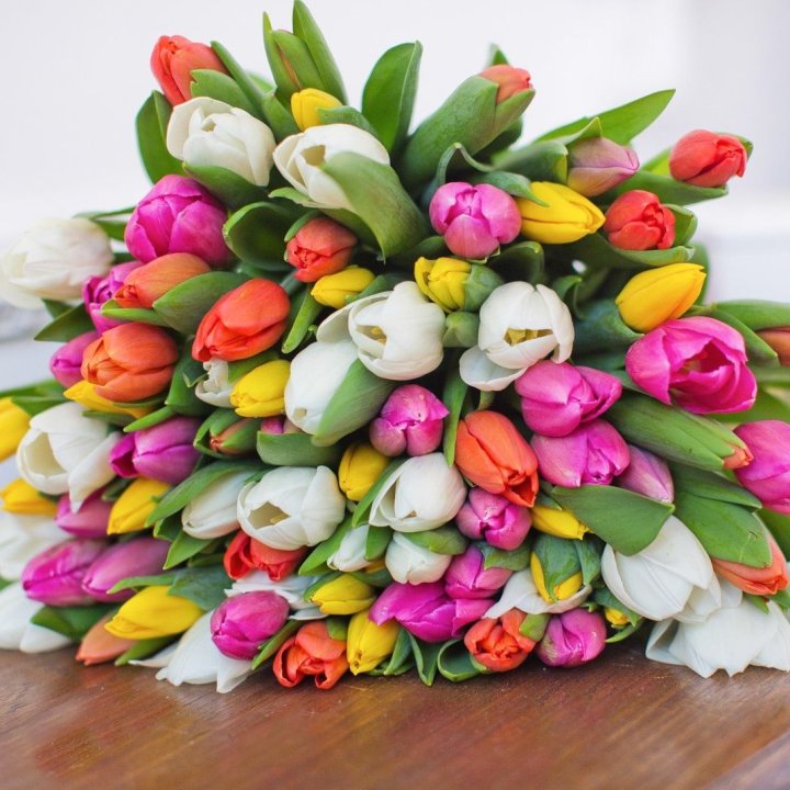 79 тюльпанов "Рандом" в Кургане