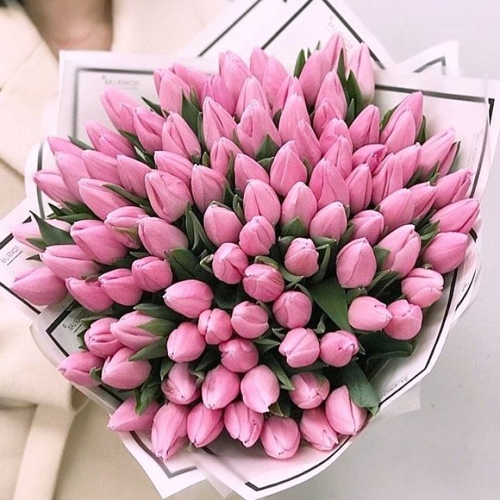 101 розовый тюльпан в белом в Кургане