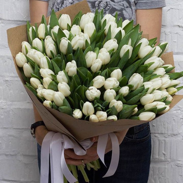 101 тюльпан сноу в Кургане