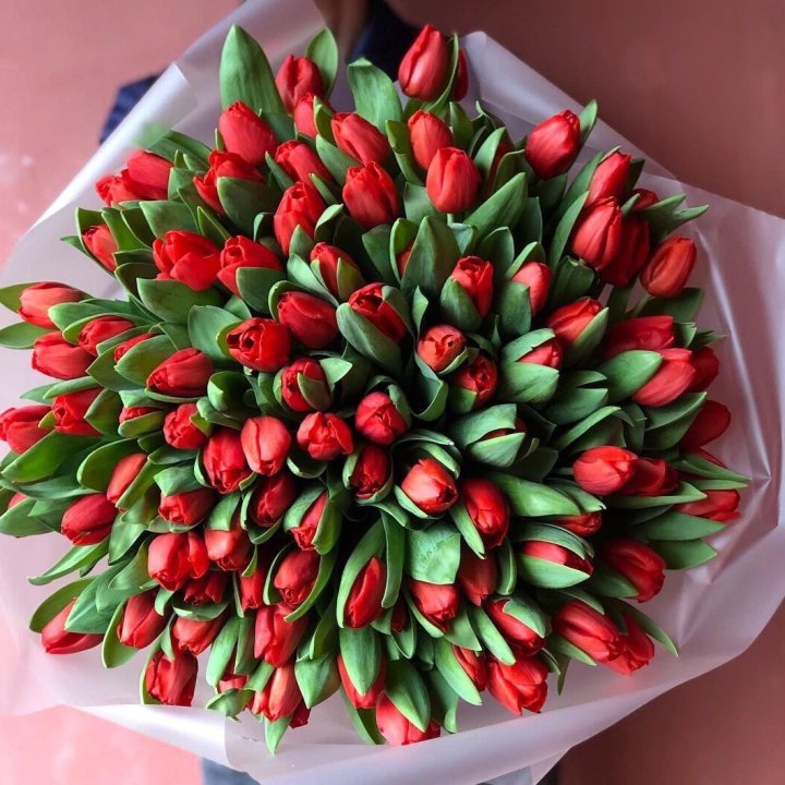 101 красный тюльпан в Кургане